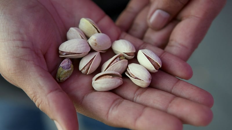 The operation began in 2019 after reports of ecological certifications being misused on pistachios that did not adhere to set agricultural standards (file pic)
