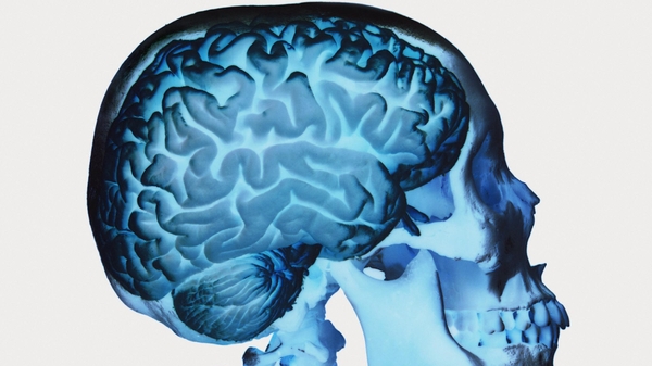 Klotho could provide a new therapeutic strategy to boost brain resilience against neurodegenerative diseases