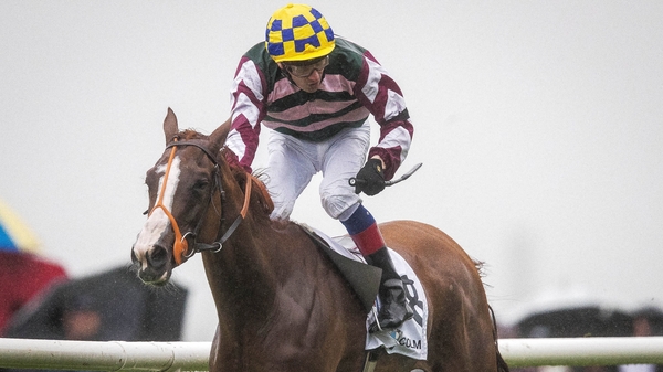 Creggs Pipes will go at the Curragh next time out