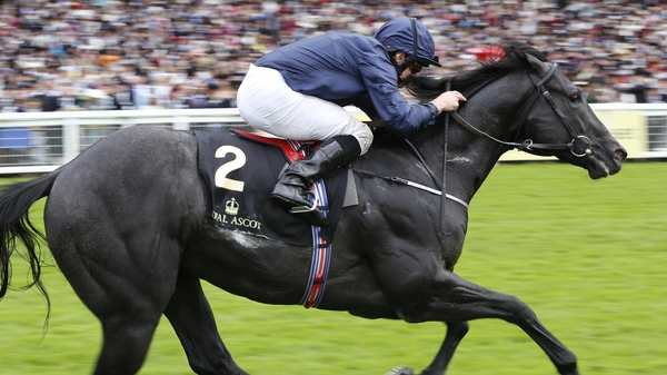 Caravaggio disappointed at Deauville