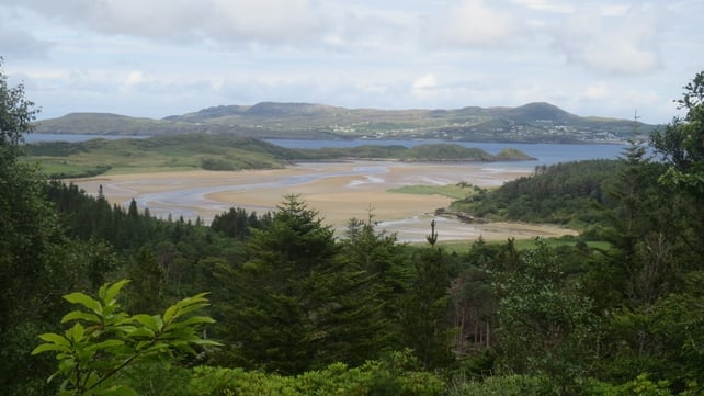 Ards Forest Park in Donegal (Pic: Christina Bowen)