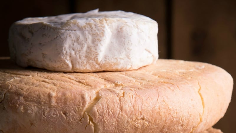 Meet the Foodies...The Little Milk Co.