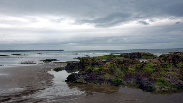 Tramore Beach (Pic: Kieran Burke)