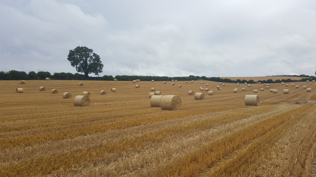Bailing hay at Hurlestone, Ardee in Co Louth (Pic: Siobhan McCoy)