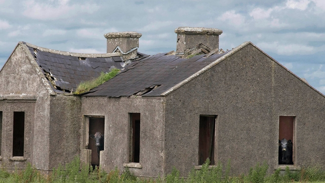 I can see moo! Somewhere in the Midlands (Pic: Joe Cunningham)