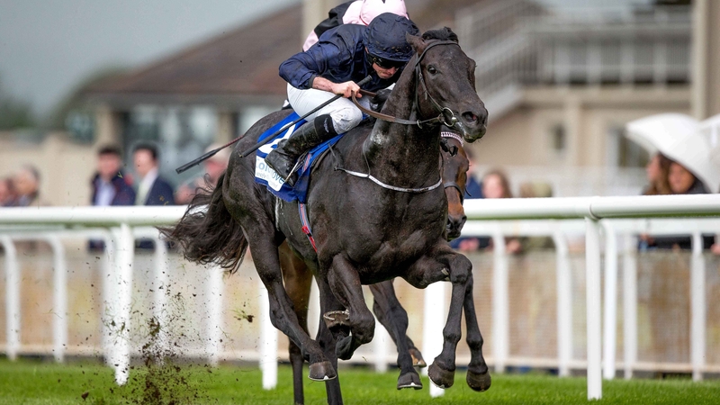Ryan Moore wins The Cold Move European Breeders Fund Marble Hill Stakes on Caravaggio