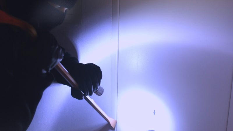 ISME's study stated nearly a third of all SMEs have been impacted by crime in the last 12 months