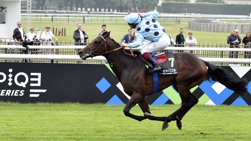 Almanzor won three Group One races last year