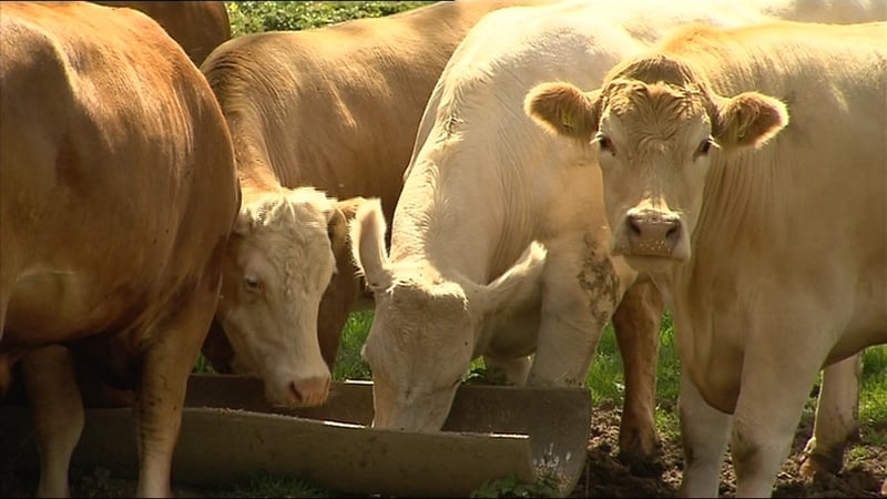 Talks are due to resume in a dispute between farming representatives and the meat industry over prices and other issues
