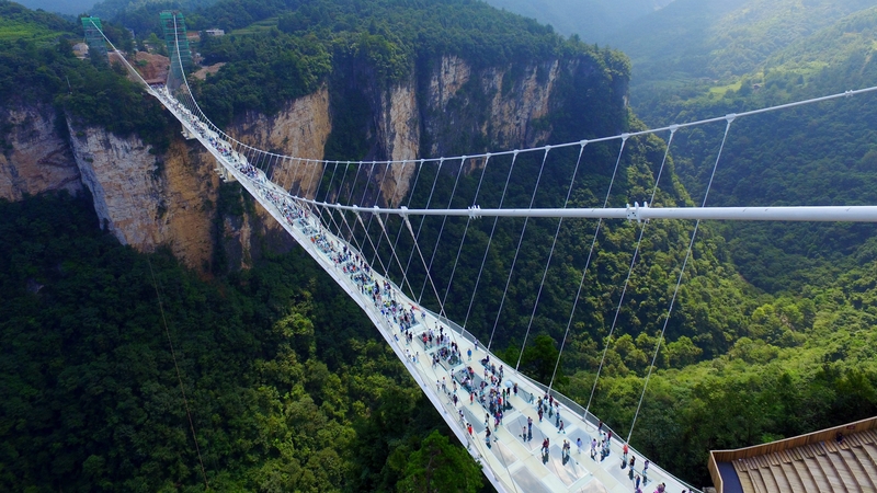 The glass bridge is made up of 99 panels of clear glass and can carry up to 800 people at the same time