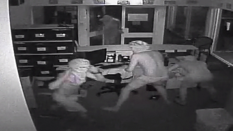 CCTV footage released by police showed the men stealing a computer monitor before running away