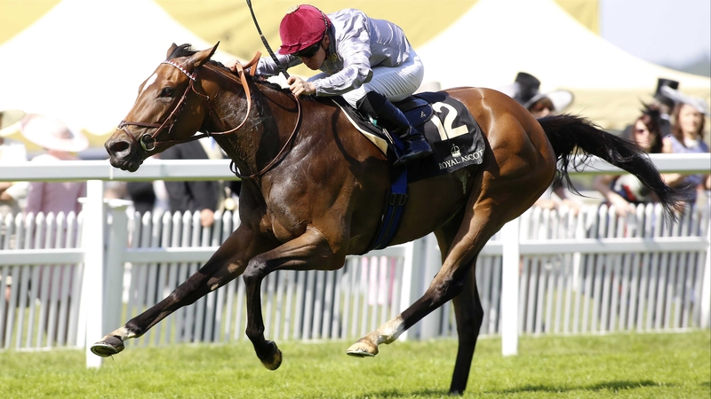 Qemah's only defeat this season came in the Poule d'Essai des Pouliches behind the undefeated La Cressonniere