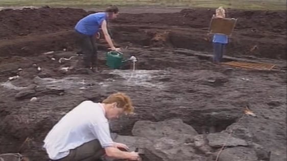 Bronze Age Village (1991)