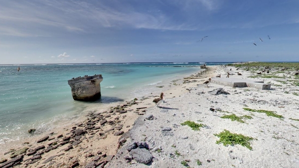 The area is home to more than 7,000 marine species (Pic: Google Maps)