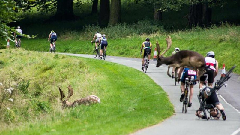 Cyclist Shane O'Reilly was able to finish the race after the collision (Pic: Erik Scraggs)