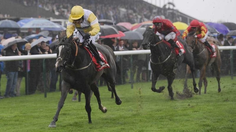 Quiet Reflection lit up a gloomy Haydock Park on Saturday afternoon