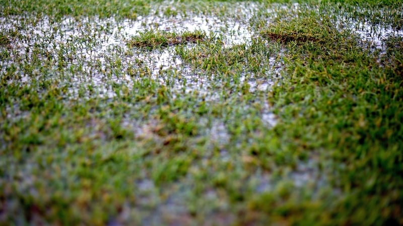 Racing at Wexford has fallen victim to heavy rain