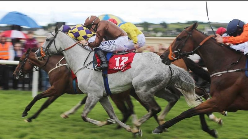 Dream Walker (brown silks) will attempt to go one better than stablemate Top Notch Tonto, who finished second in last season's Boomerang Stakes