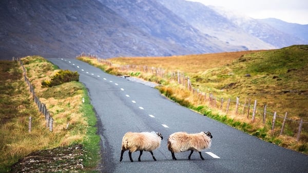 An Italian girl set herself the challenge in 2016 - to uncover the 'real' Ireland. We've all heard the many Irish stereotypes but which ones are true or false?
