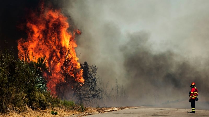 About 50 tourists were evacuated from a hotel just north of the coastal town of Portimao
