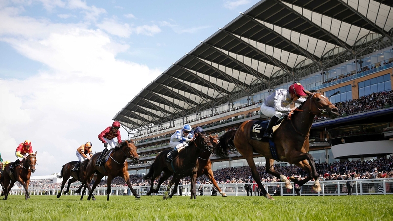 Qemah is a general 5-4 favourite for the Irish Champion Stakes