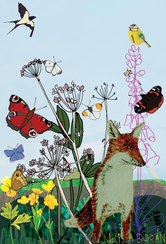 Naturama Summer © Melissa Doran