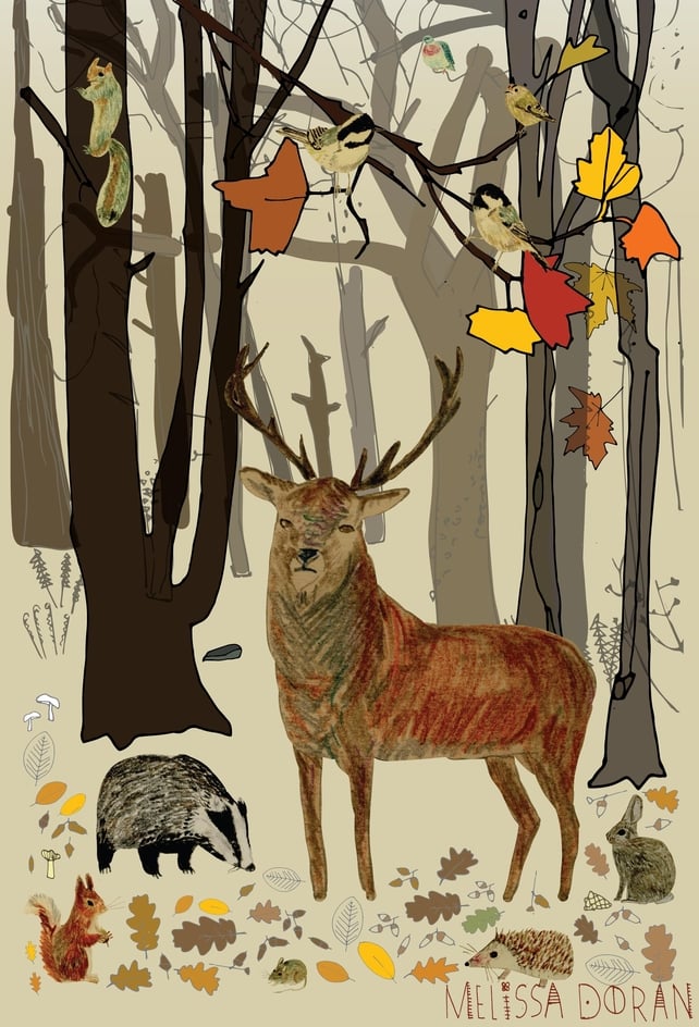 Naturama Autumn © Melissa Doran