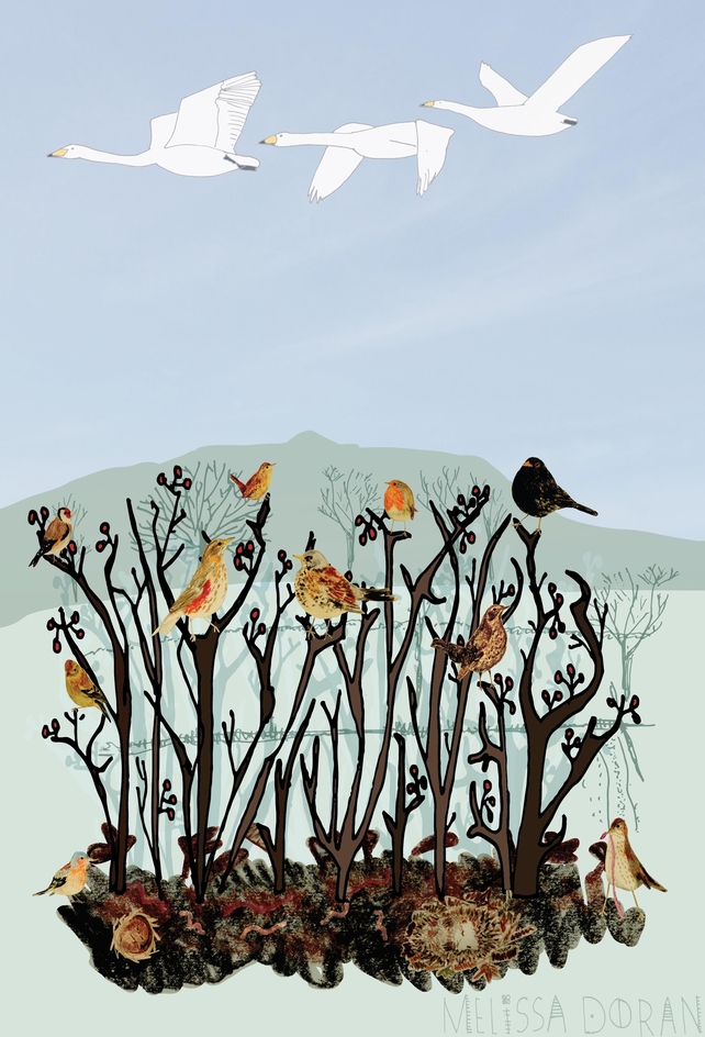 Naturama Winter © Melissa Doran