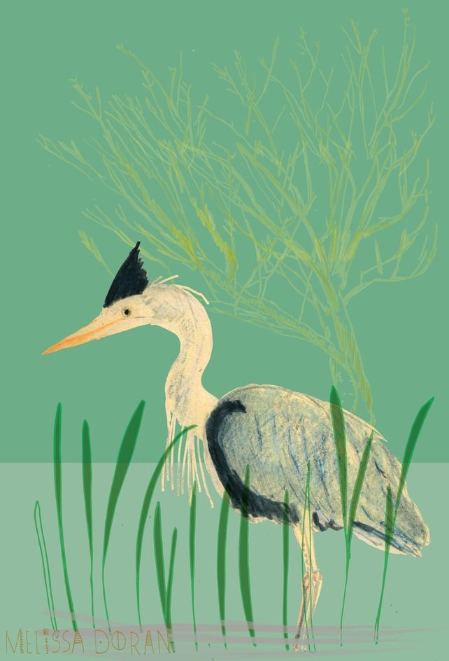 Naturama Heron © Melissa Doran