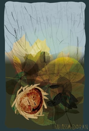 Naturama Mouse Hibernating © Melissa Doran