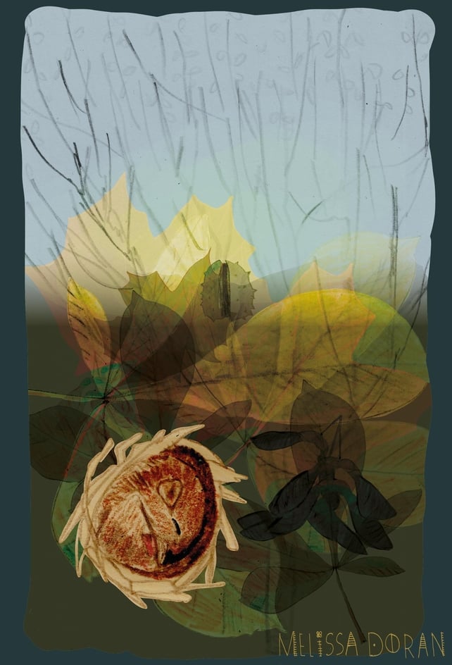 Naturama Mouse Hibernating © Melissa Doran