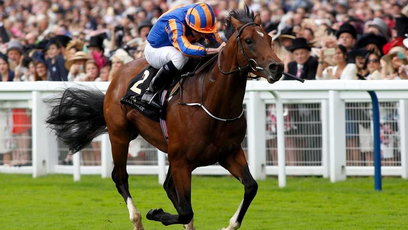 Churchill is the 1-3 favourite for the Irish 2,000 Guineas