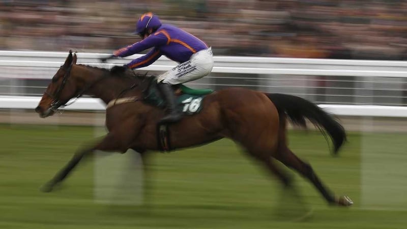 Wicklow Brave goes in the Rockshore Race