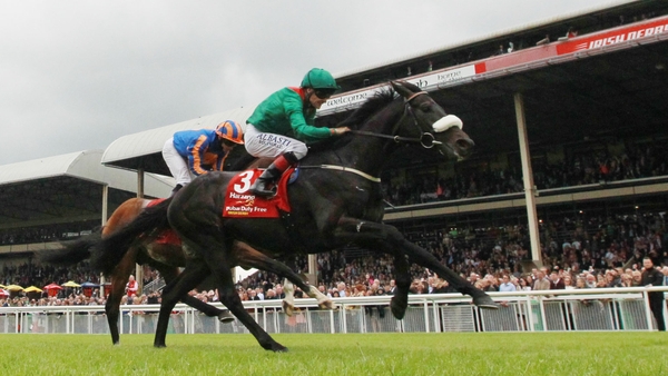Double Derby winner Harzand can recover in time for the Prix de l'Arc de Triomphe