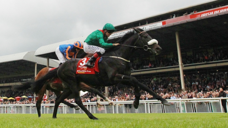 Harzand has lit up the mile-and-a-half three-year-old division this season