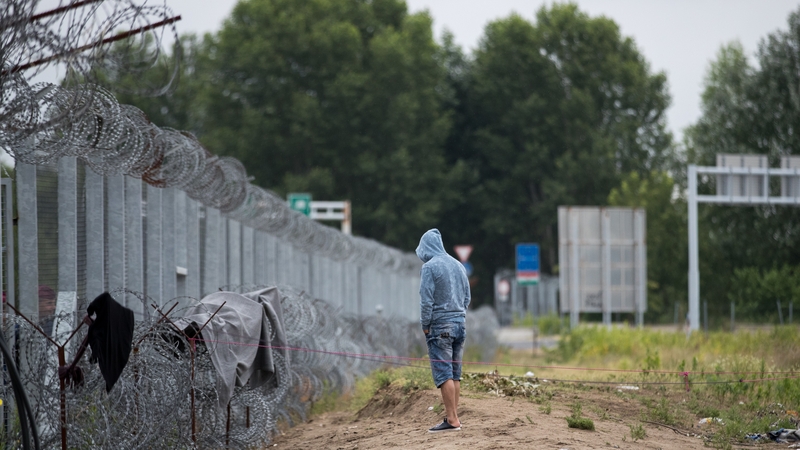 A man looks at the border fence between Hungary and Serbia