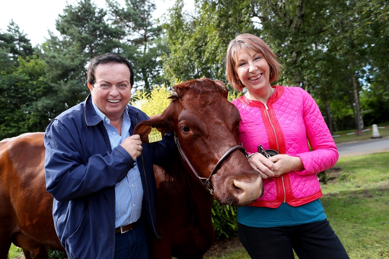 The Irish version of the Oscars, the Ploughing Championship is an annual event for not only the farming and agricultural communities of Ireland, but for almost 300,000 people who want to experience country life at its best