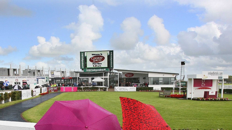 A new terrace will overlook the parade ring