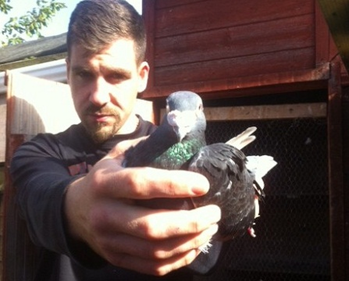 Bolt and my Belgian Blue