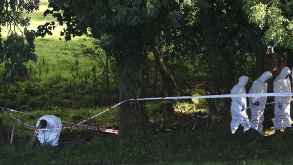 Forensic officers at the site near Killen in Co Tyrone
