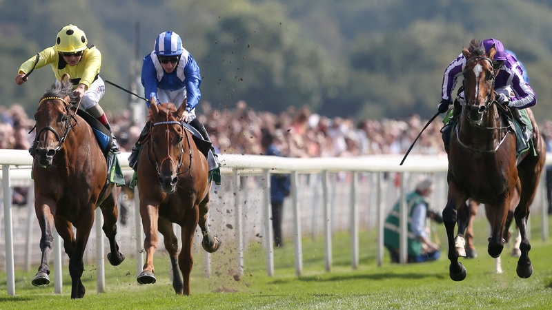 Postponed (L) win The Juddmonte International Stakes at York from Highland Reel (R) and Mutakayyef