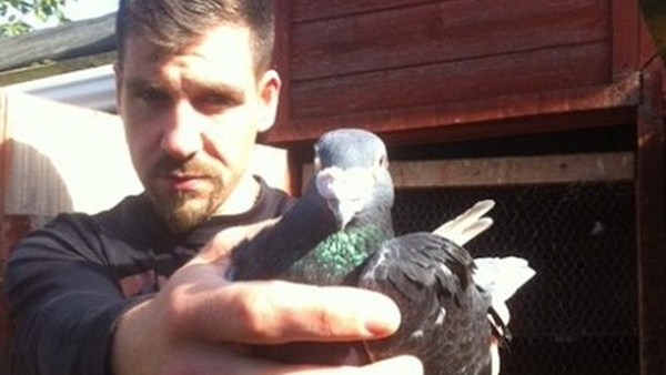 Documentary On One: Bolt and my Belgian Blue