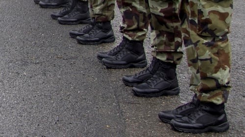 The report explores the attitudes of Defence Forces personnel to their working lives