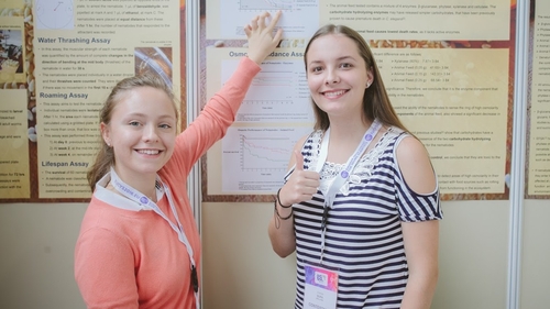 Mari Louise Fufezan and Diana Bura at their exhibition stand in Belgium (pic: Kamil Bielinski)