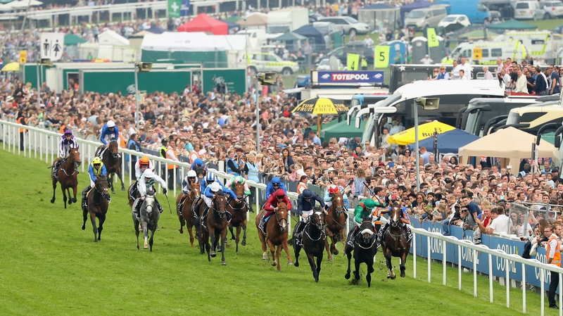 Harzand is a dual Derby winner