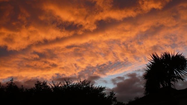 Sunset in Foxrock, Co Dublin 
(Pic: Cormac O’Donohoe)
