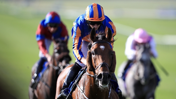 Cougar Mountain and Ryan Moore