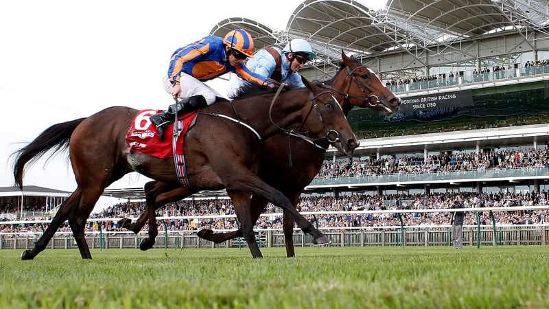 Seamie Heffenan got Brave Anna (R) up on the outside to win the Cheveley Park Stakes