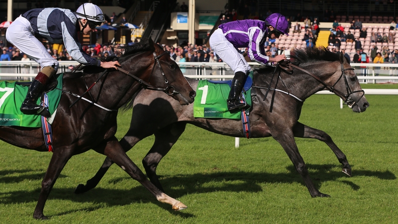 Ryan Moore and Capri triumph in the Group Two