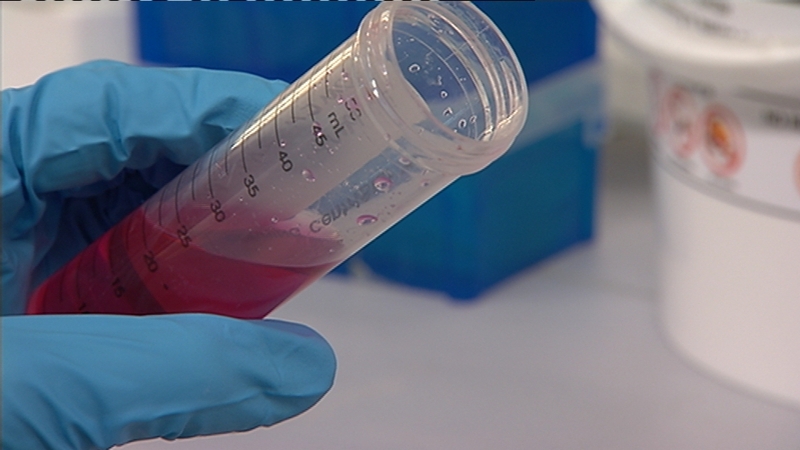 Beckham Coulter to add 70 new jobs at its Co Clare plant